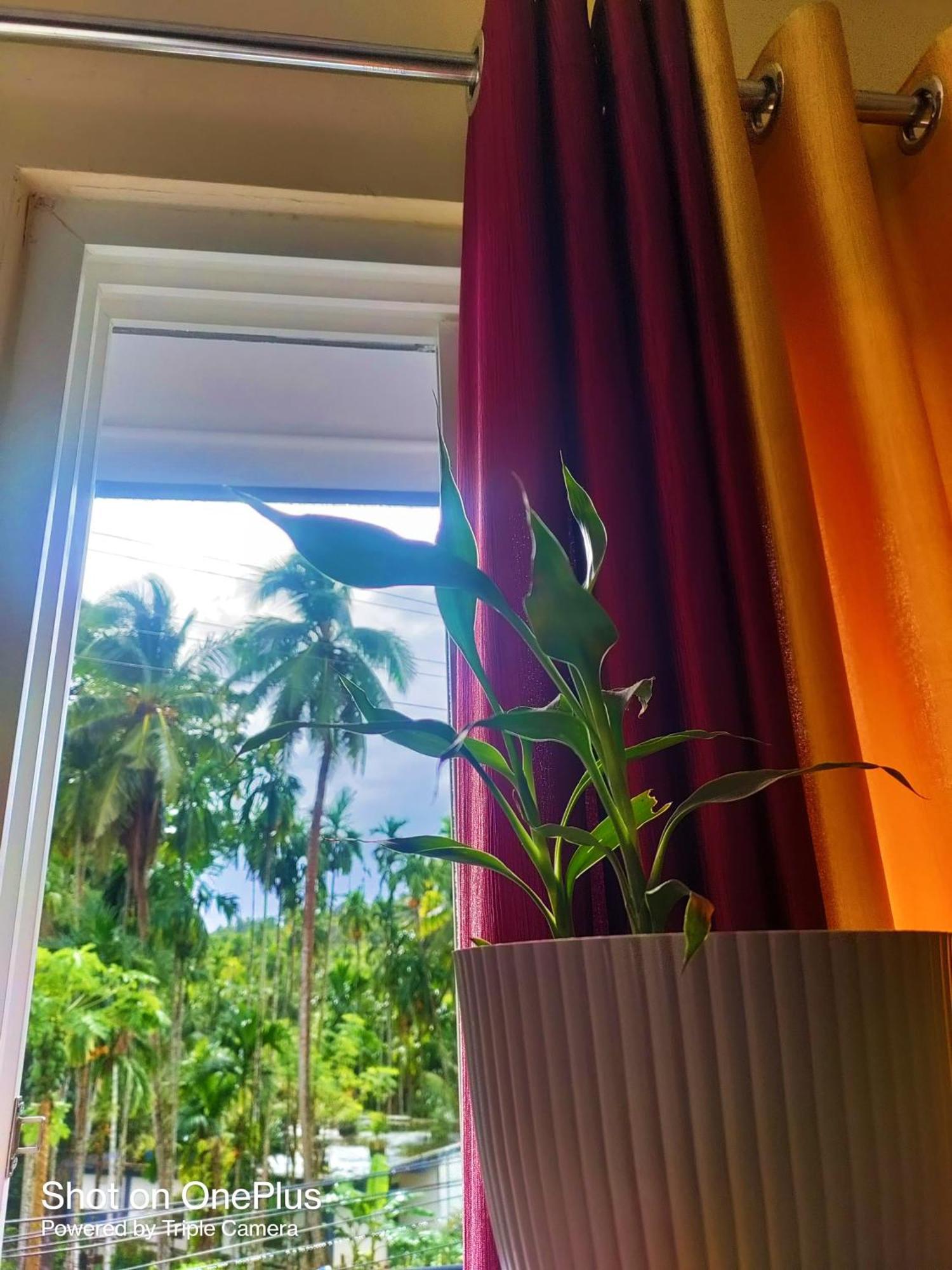 Hilton Garden Homestay Port Blair Exteriér fotografie
